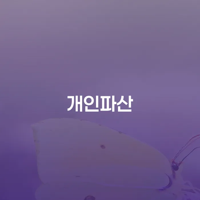 채무자회생및파산에관한법률 개인회생으로 해결 선택을 어떻게..